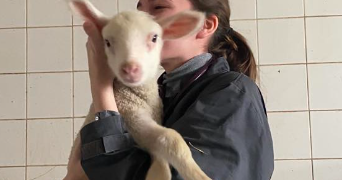 jade pet sitter à VILLEBEON 77710_2
