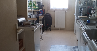 sara pet sitter à ECOUEN 95440_3