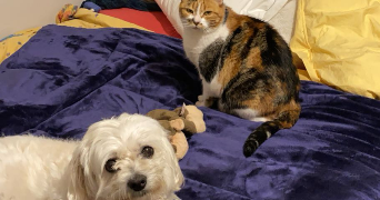 mathilde pet sitter à GRENOBLE 38100_1