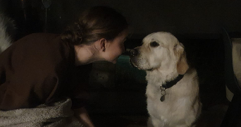 océane pet sitter à INGERSHEIM 68040_2