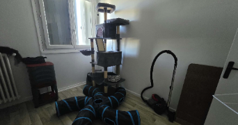 killian pet sitter à REIMS 51100_3