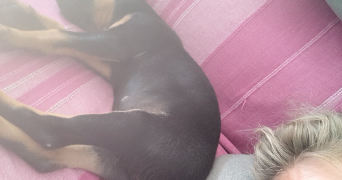 angélique  pet sitter à BOYNES 45300_11
