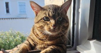 léa pet sitter à L ESCALE 04160_2