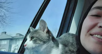 sezen pet sitter à TULLINS 38210