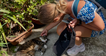 léa pet sitter à KOLBSHEIM 67120_0