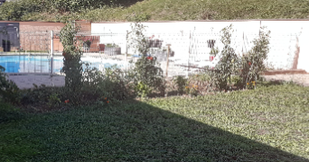 sophie dog sitter à LAGNIEU 01150_1