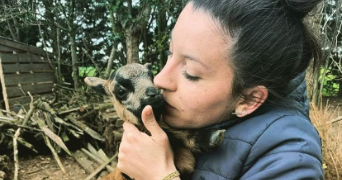 manon pet sitter à MONTAIGU VENDEE 85600_1