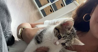 lefebvre pet sitter à VILLENAVE D ORNON 33140