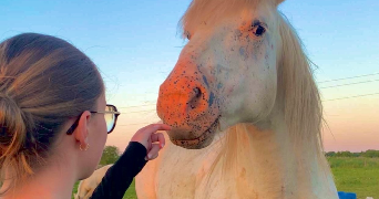 loula pet sitter à VICHY 03200_2