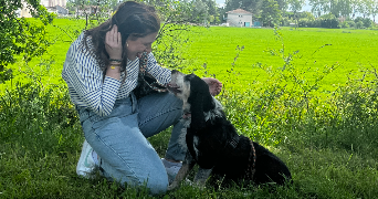 tess pet sitter à TOULOUSE 31000_2