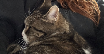 pauline pet sitter à FLEURINES 60700_3