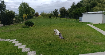 ludovic pet sitter à NEUVY 51310_2