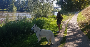 laura pet sitter à RENNES 35200_1
