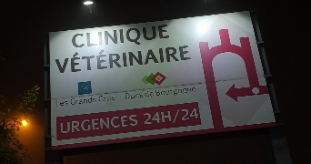 imane pet sitter à CHEVIGNY ST SAUVEUR 21800_4