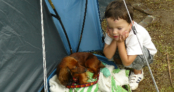 baptiste cat sitter à RENNES 35200_0