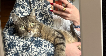 lilou cat sitter à LE MESNIL ESNARD 76240_1