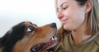 amandine pet sitter à MERVILLE 59660_0
