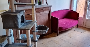 david pet sitter à BAZAS 33430_5