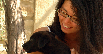 narae pet sitter à PERNES LES FONTAINES 84210_1