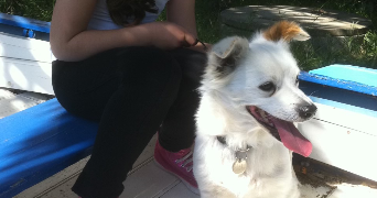 romy pet sitter à MARSEILLE 06 13006_3