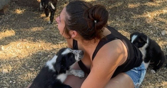 manon pet sitter à MAROLLES EN HUREPOIX 91630_3
