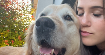 emma pet sitter à DOMBROT LE SEC 88140_1