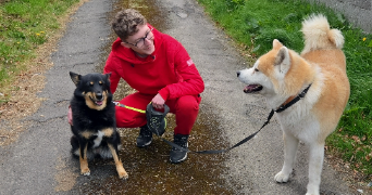 adrien pet sitter à TERRES DE CAUX 76640_4