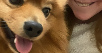 sandra pet sitter à CLAYE SOUILLY 77410_7