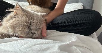 thaïs pet sitter à BIARRITZ 64200_2