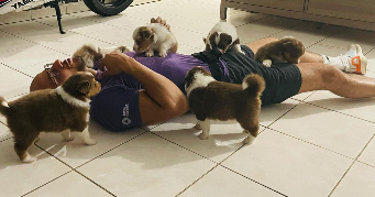sami pet sitter à TOULOUSE 31200_1