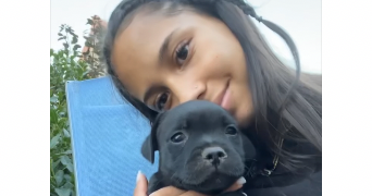 tévy pet sitter à MARSEILLE 05 13005_0