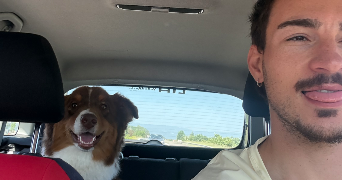 gabriel pet sitter à ANNECY 74940_0