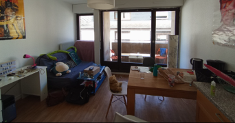 lila pet sitter à STRASBOURG 67000_2