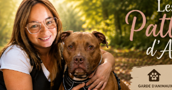 audrey pet sitter à GOLBEY 88190_0