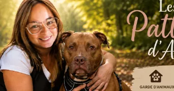 audrey pet sitter à GOLBEY 88190