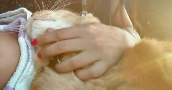 omnia pet sitter à PARIS 10 75010_1