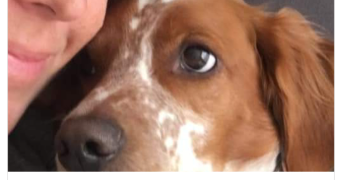 isabelle pet sitter à BESSAN 34550_0