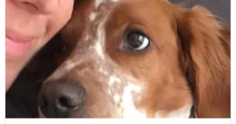 isabelle pet sitter à BESSAN 34550
