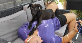 chloé pet sitter à LILLE 59800_2