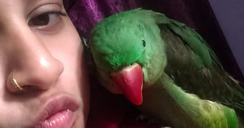 samriti pet sitter à BAGNOLET 93170_1