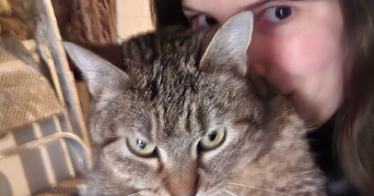 adele pet sitter à LILLE 59260_0