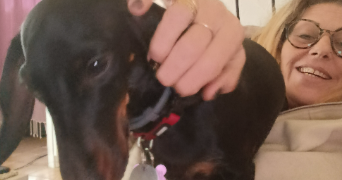 florence pet sitter à OLLIOULES 83190_8