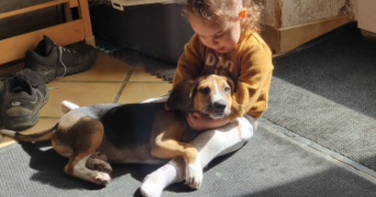 noelia pet sitter à GEMOZAC 17260_7