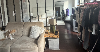 sasha pet sitter à PARIS 02 75002_2