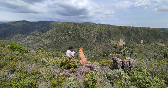 camille pet sitter à VILLEFRANCHE DU PERIGORD 24550_1