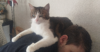 melanie  pet sitter à Voiron 38500_3