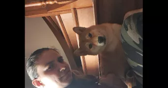 jessica pet sitter à PLESSE 44630