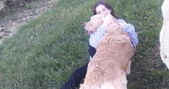 alice pet sitter à L HAY LES ROSES 94240