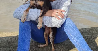 chloé pet sitter à ST AUBIN DE BLAYE 33820