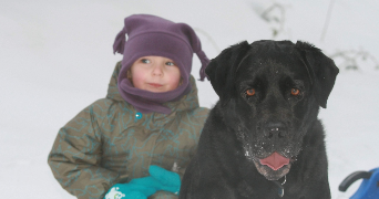 axelle pet sitter à wailly 62217_2